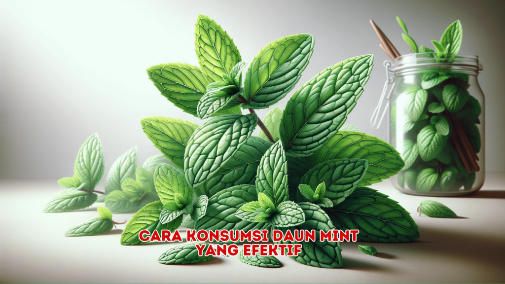 Cara konsumsi daun mint yang efektif